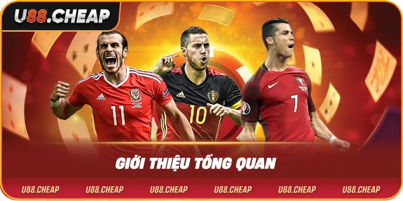 Giới thiệu tổng quan