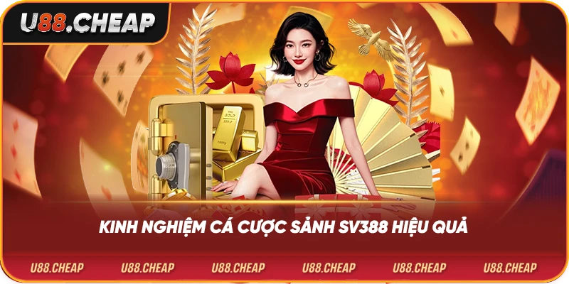 Kinh nghiệm cá cược sảnh sv388 hiệu quả